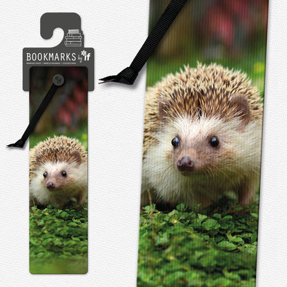 3D Bookmarks