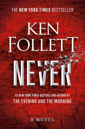 Never: A Novel