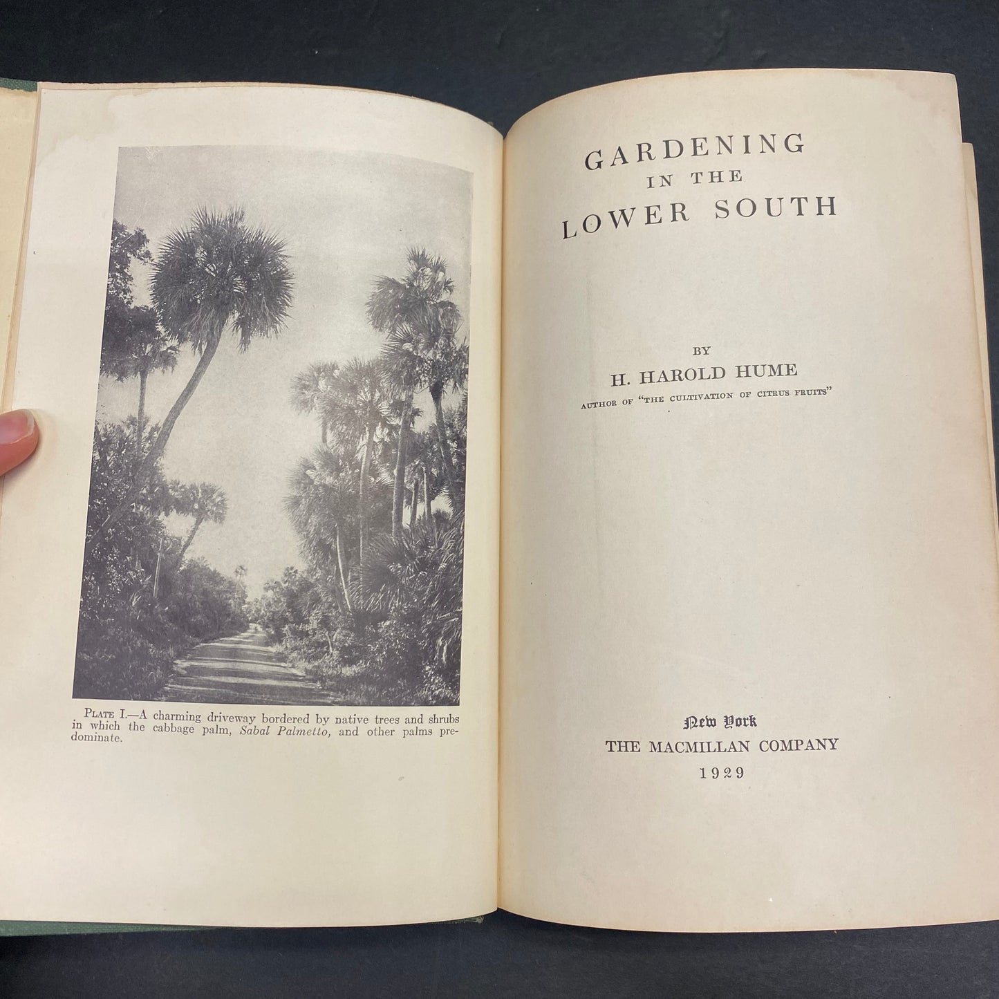 Gardening in the Lower South - H. Harold Hume - 1929