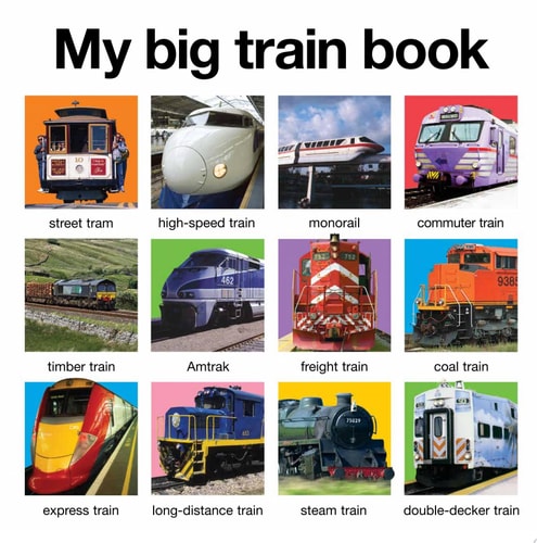 My Big Train Book
