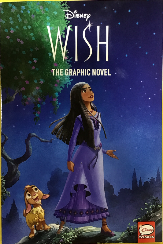 Wish: the graphic novel