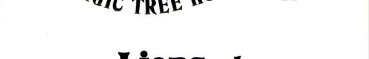 Lions at Lunchtime (Magic Tree House #11)