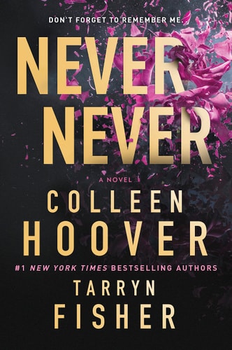 Never Never: A Romantic Suspense Novel of Love and Fate