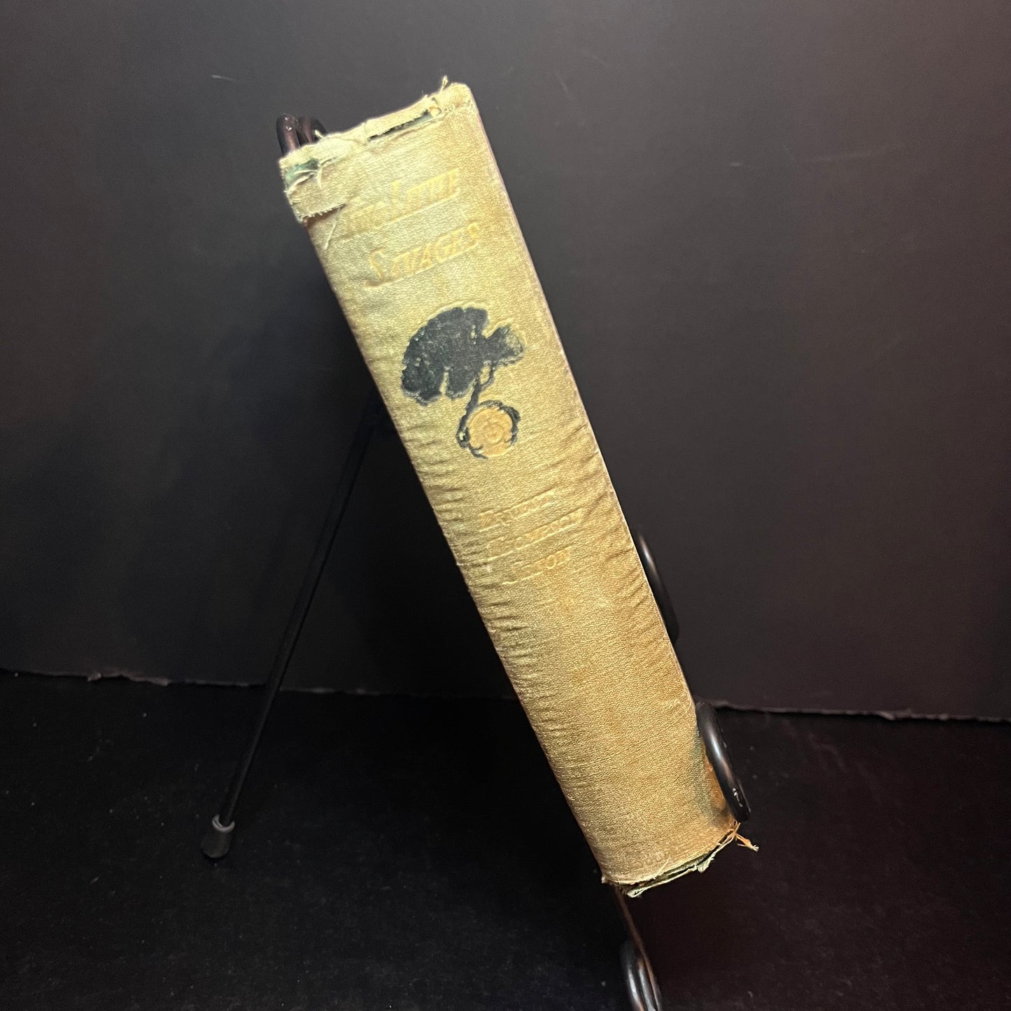 Two Little Savages - Ernest Thompson Seton - 1st Edition - 1903