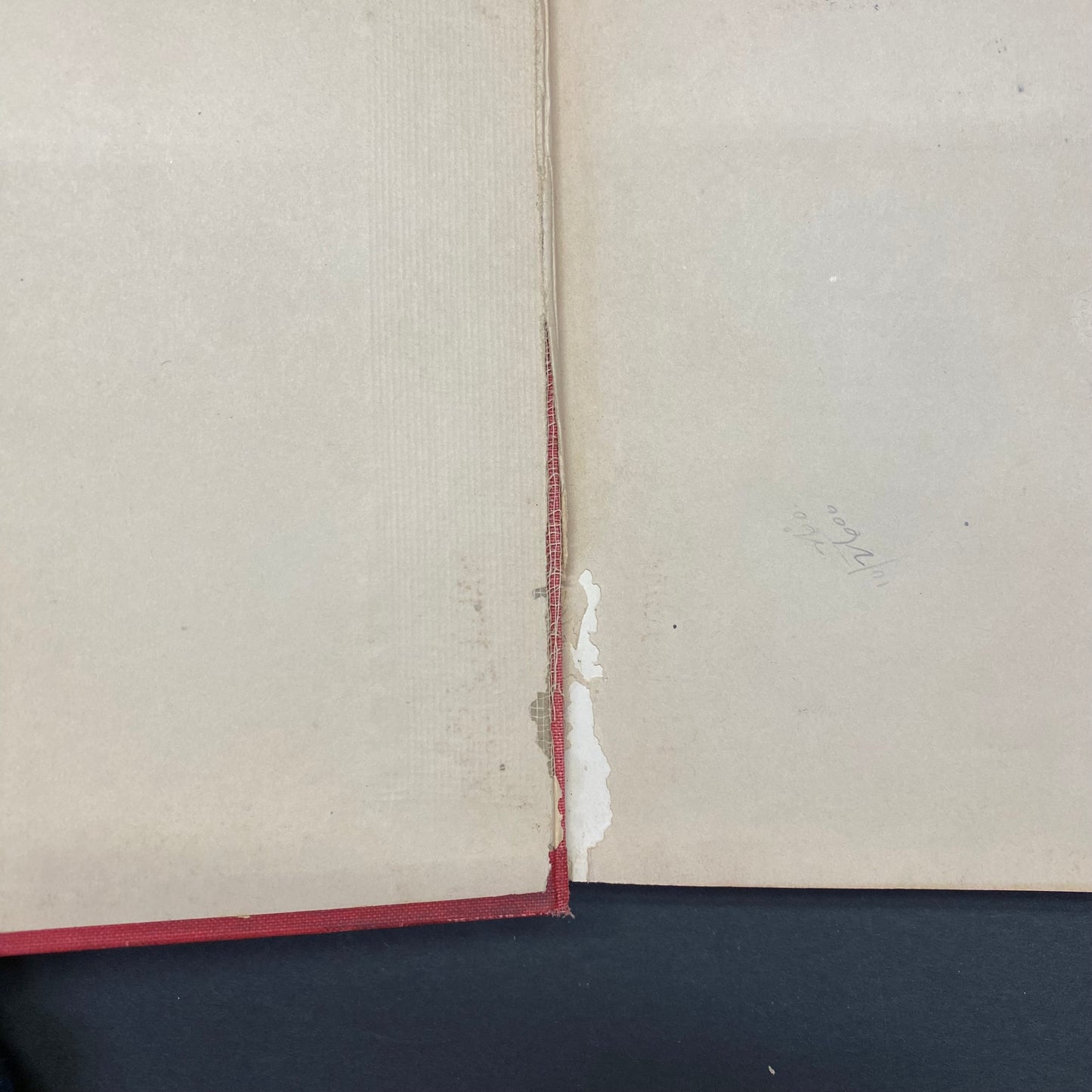 Connie Morgan in the Lumber Camps - James B. Hendryx - 1st Edition - 1919