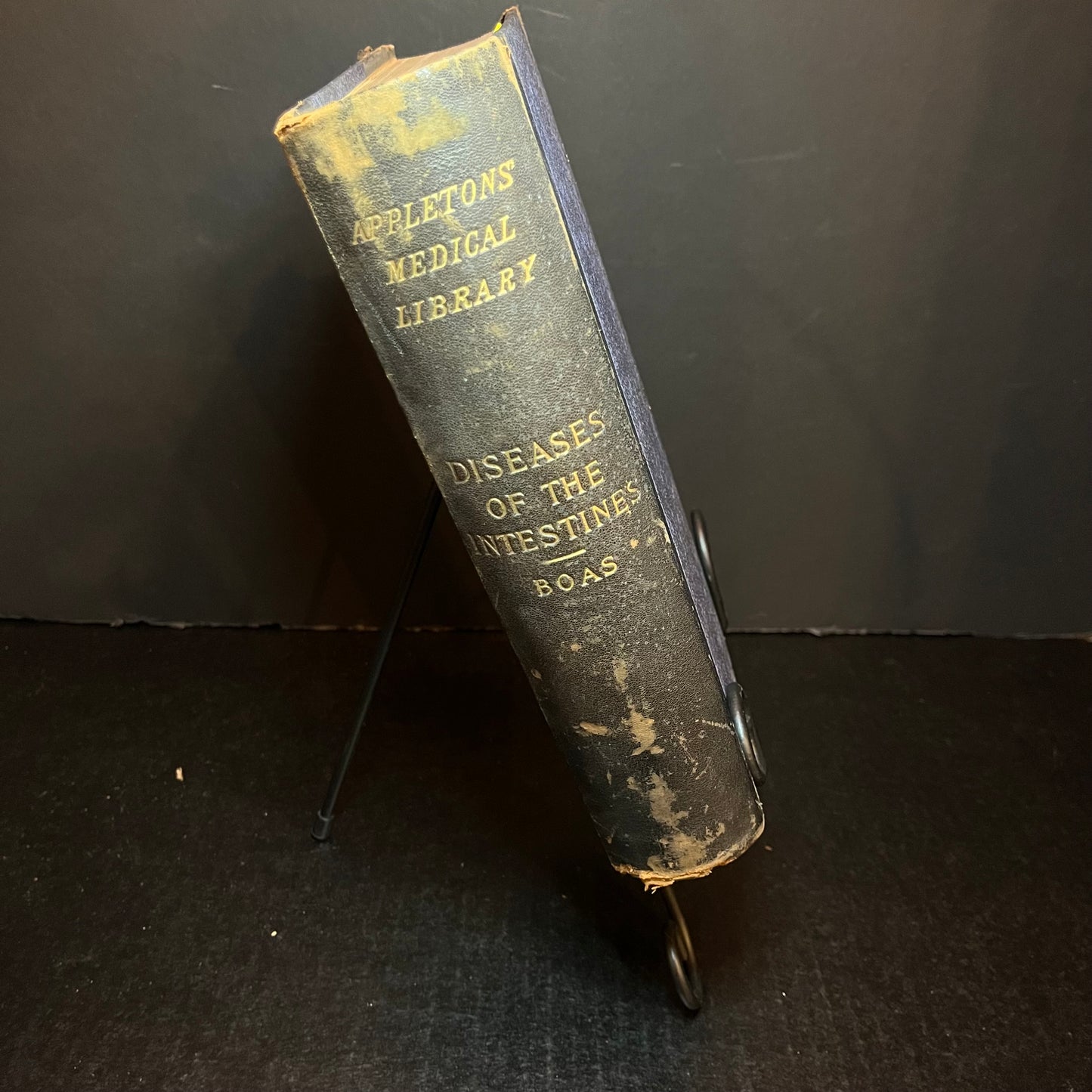 Diseases of the Intestines - Dr. I. Boas- 1901