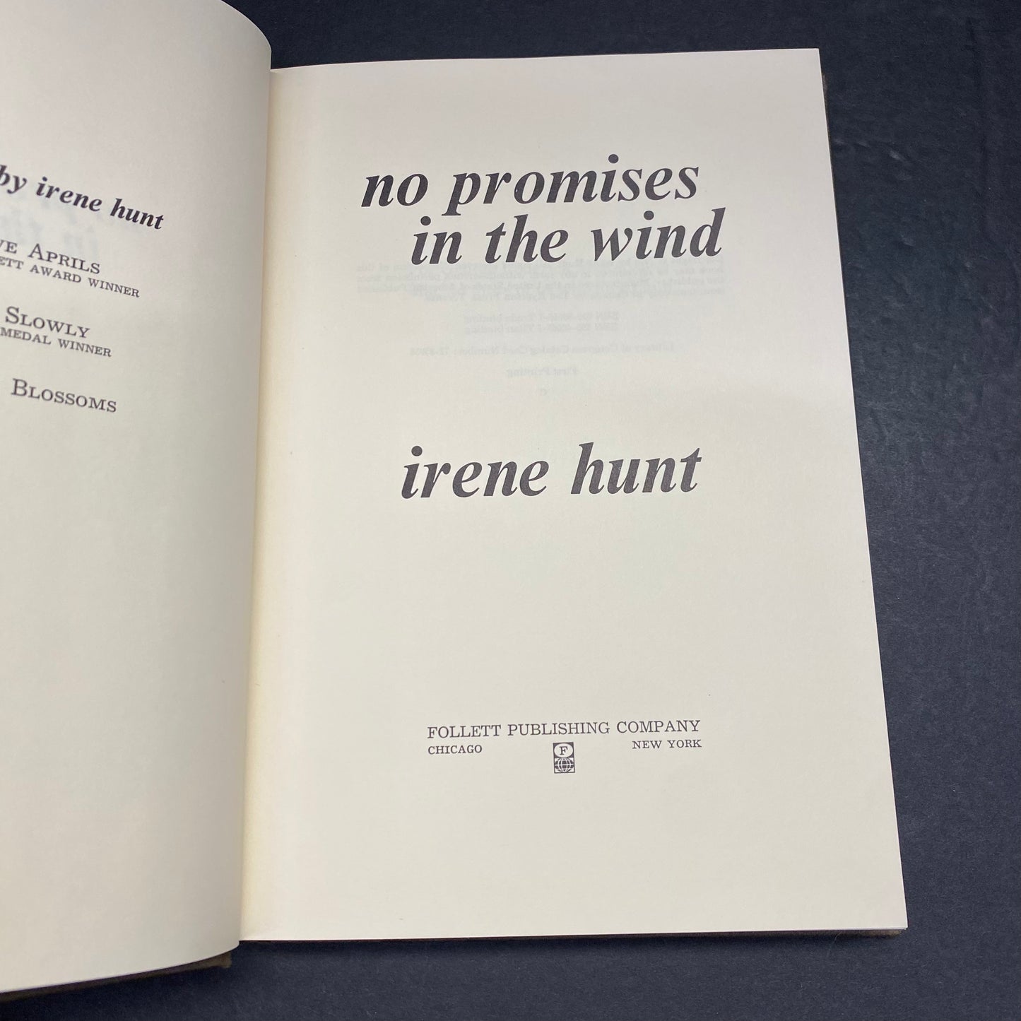 No Promises In The Wind - Irene Hunt - 1st Edition - 1970