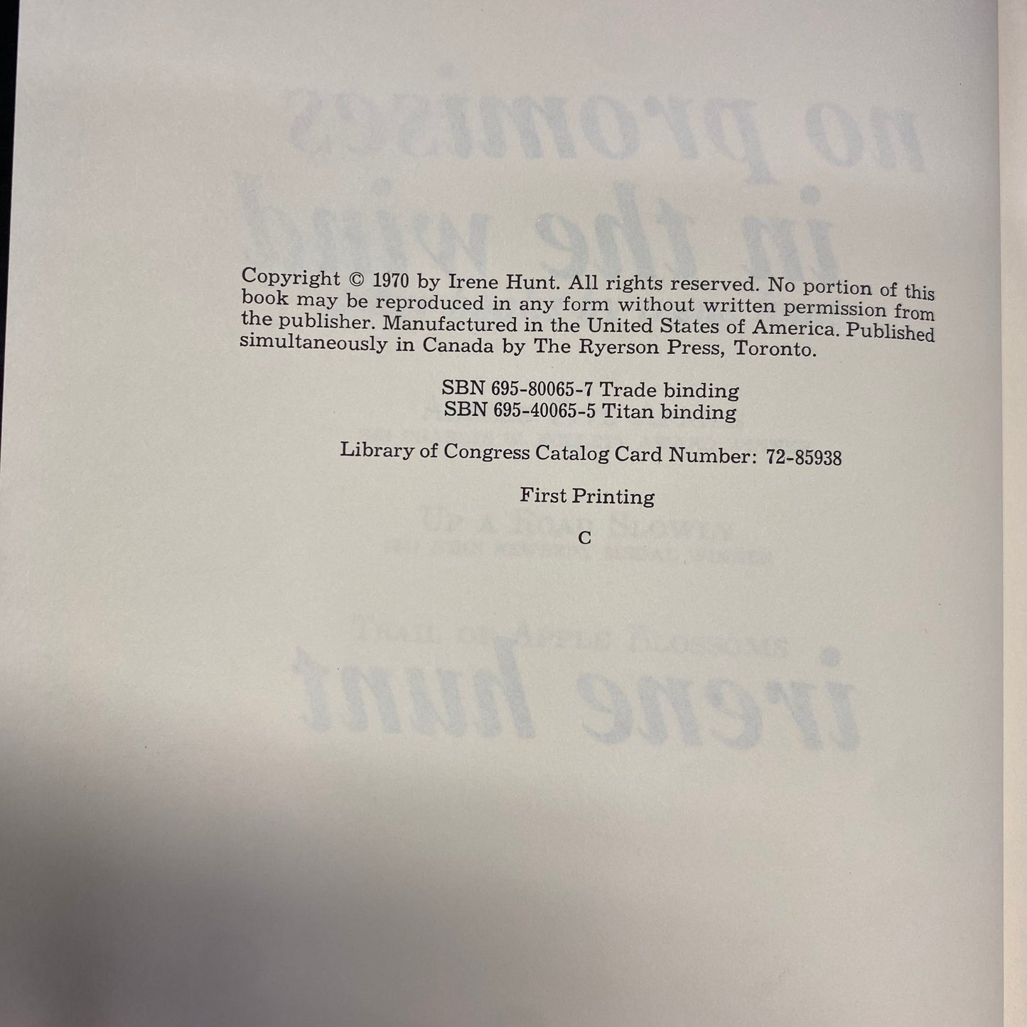 No Promises In The Wind - Irene Hunt - 1st Edition - 1970