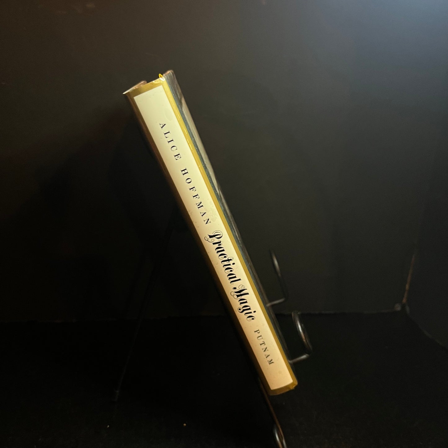 Practical Magic - Alice Hoffman - 1st Edition - 1995