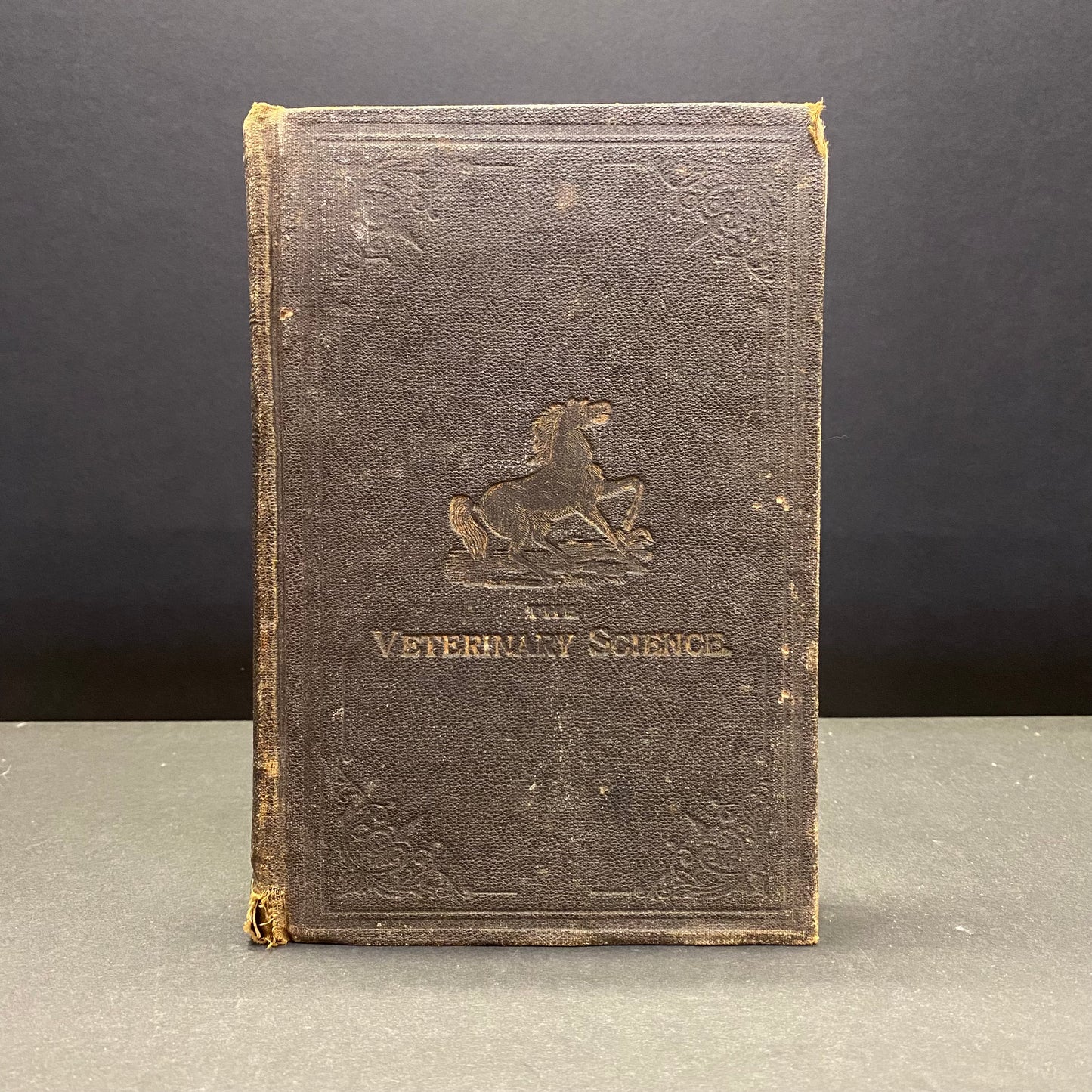 The Veterinary Science: The Anatomy, Diseases, and Treatment of Domestic Animals - J. E. Hodgins and T. H. Haskett - 1902