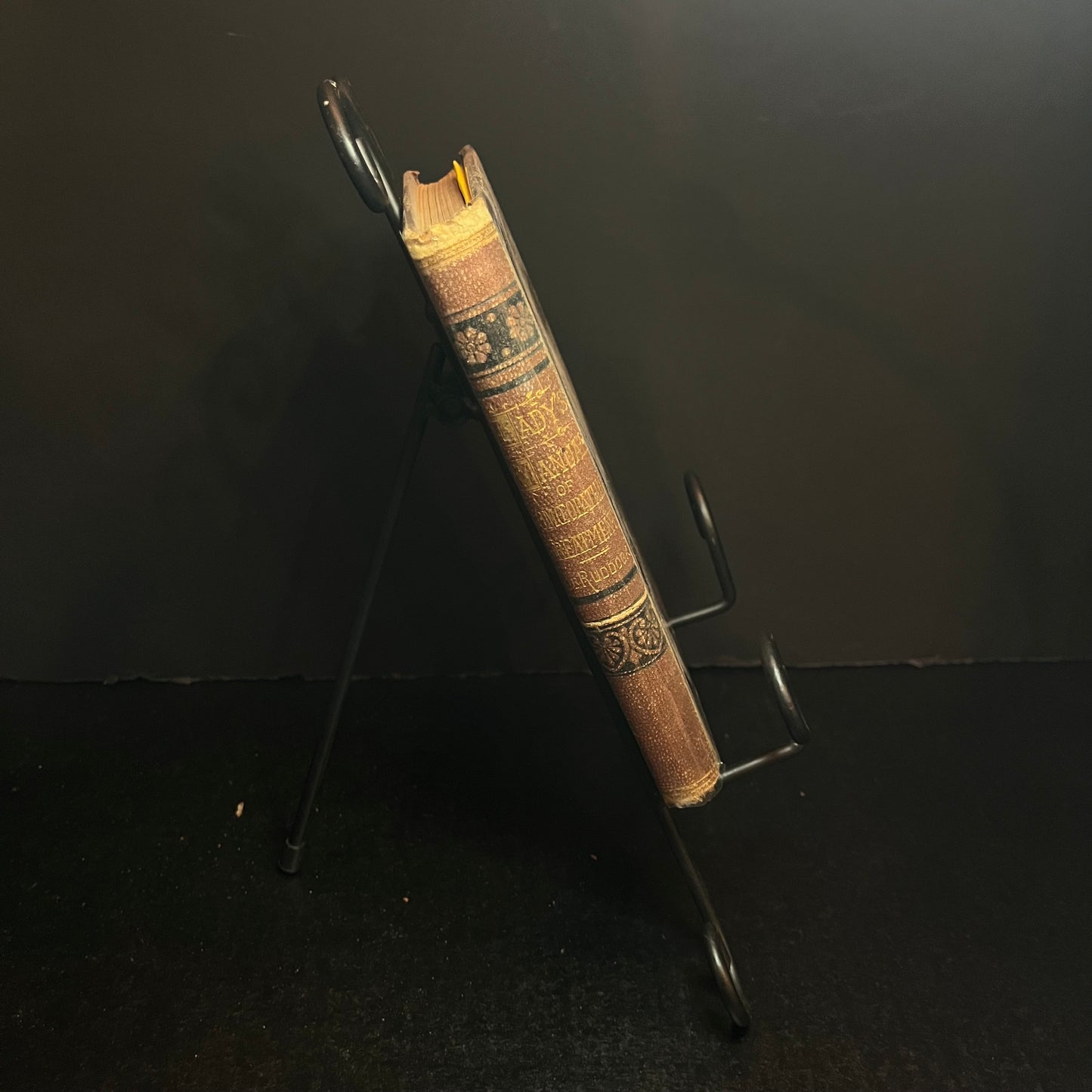 The Lady's Manual of Homeopathic Treatment - E.H. Ruddock - 1874