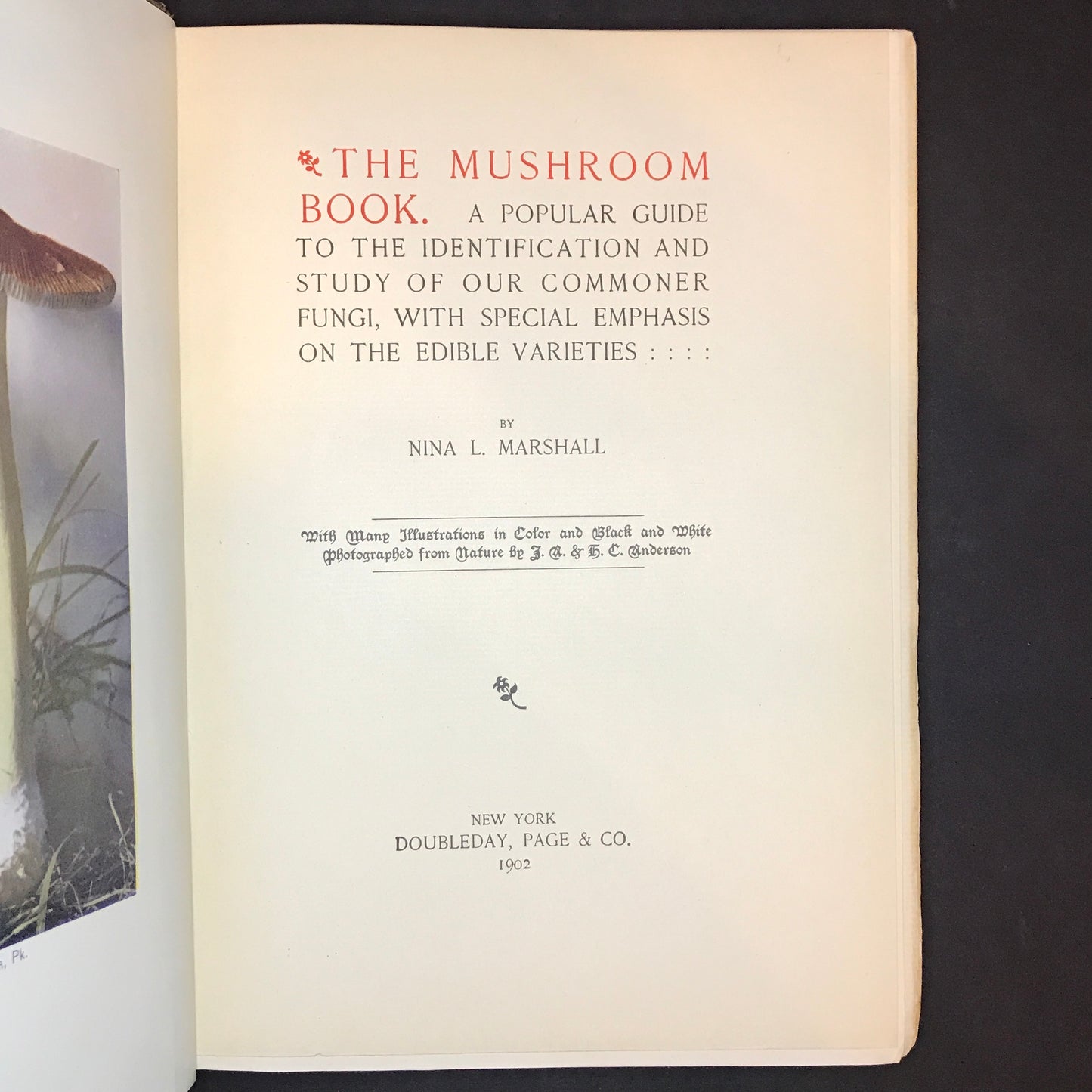 The Mushroom Book - Nina Marshall - Early Print - 1902