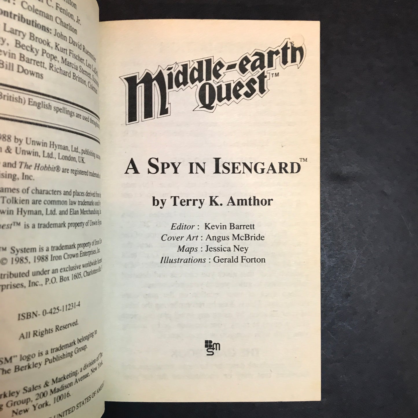 Middle-earth Quest: A Spy in Isengard - Terry K. Amthor - 1988