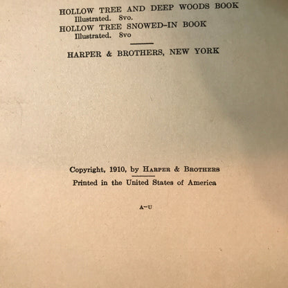 Hollow Tree Stories: When Jack Rabbit Was A Little Boy - Albert Bigelow Paine - 1910