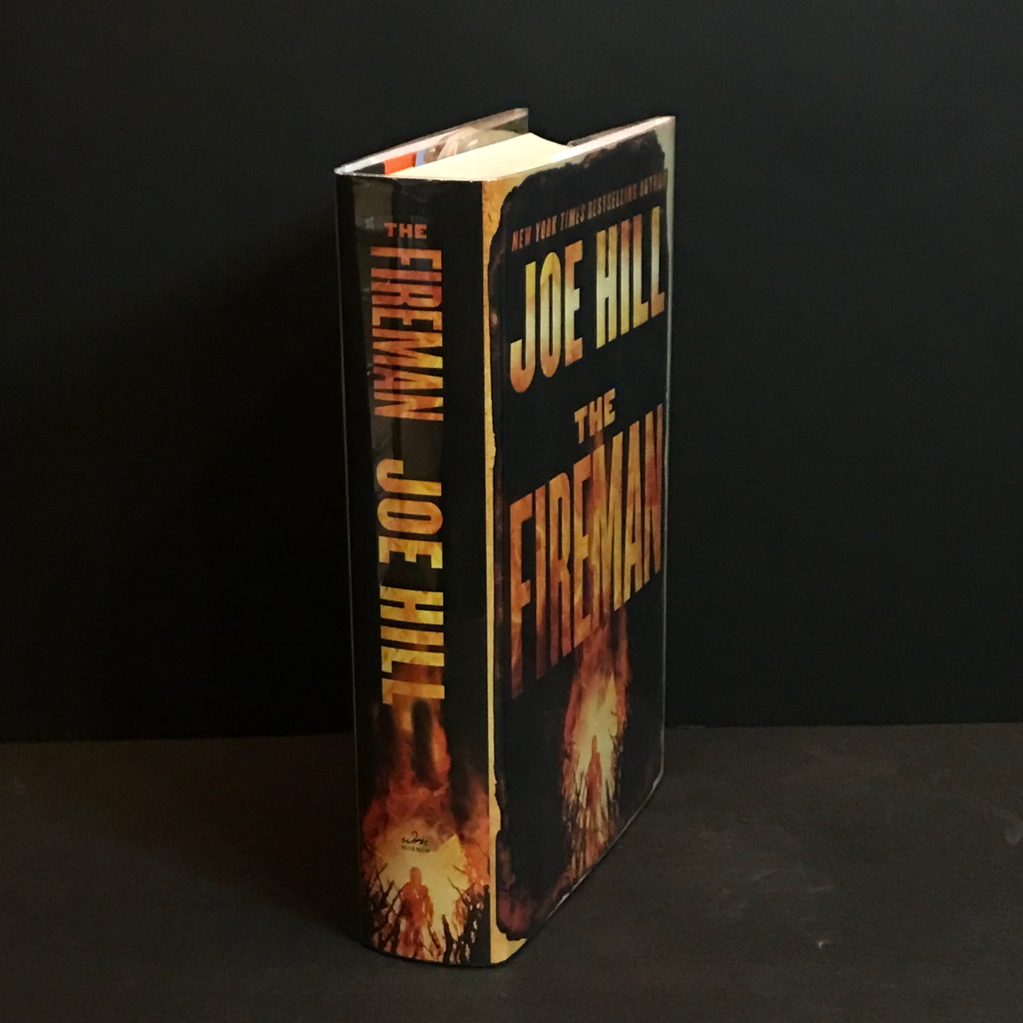 The Fireman - Joe Hill - 1st Edition - 2016