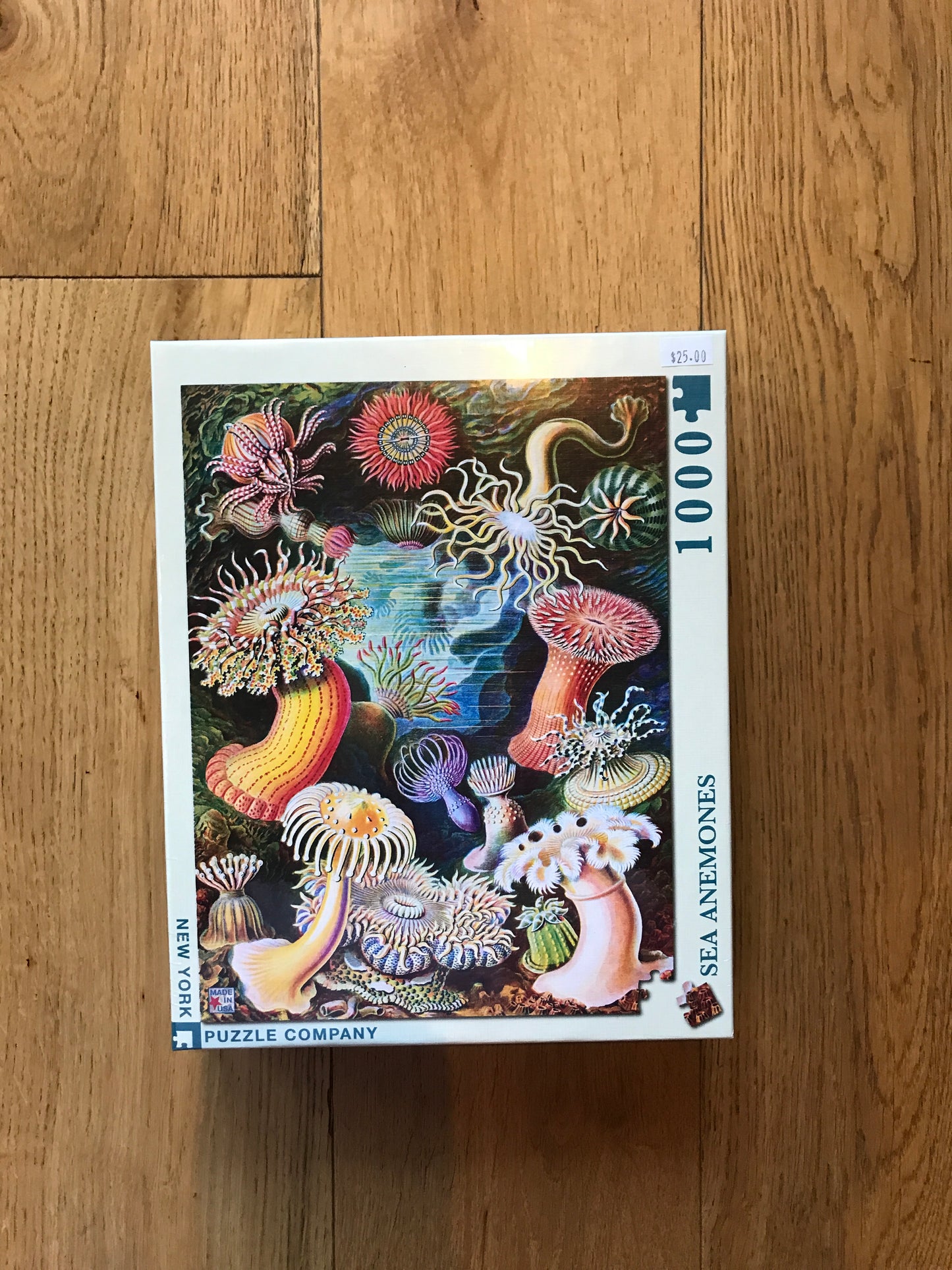 New York Puzzle Co. Puzzles