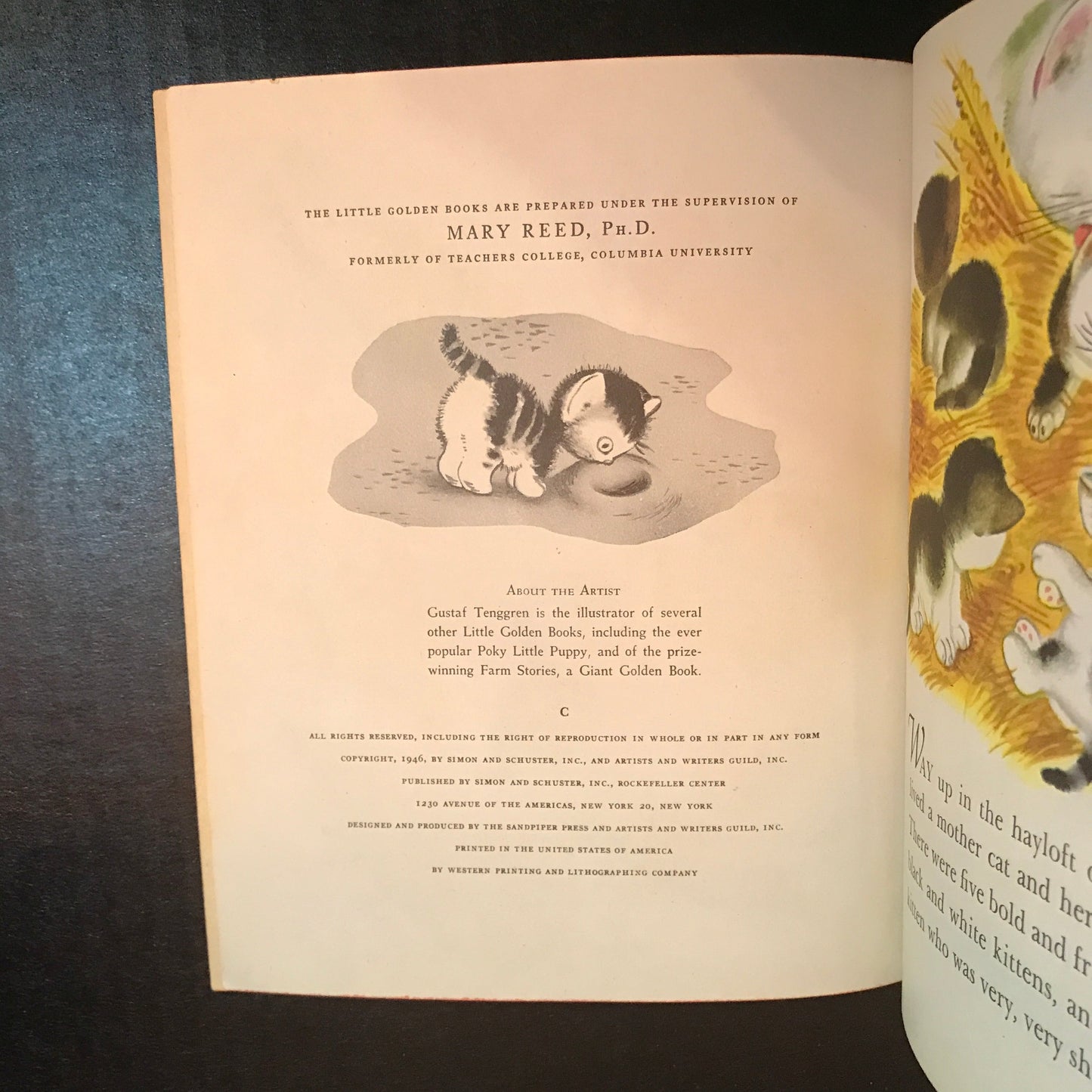 The Shy Little Kitten - Cathleen Schurr - 1946