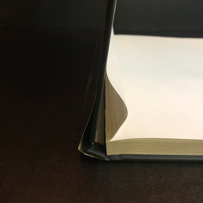 Portfolio #1 - Bears - Rick Hobbs - 2009