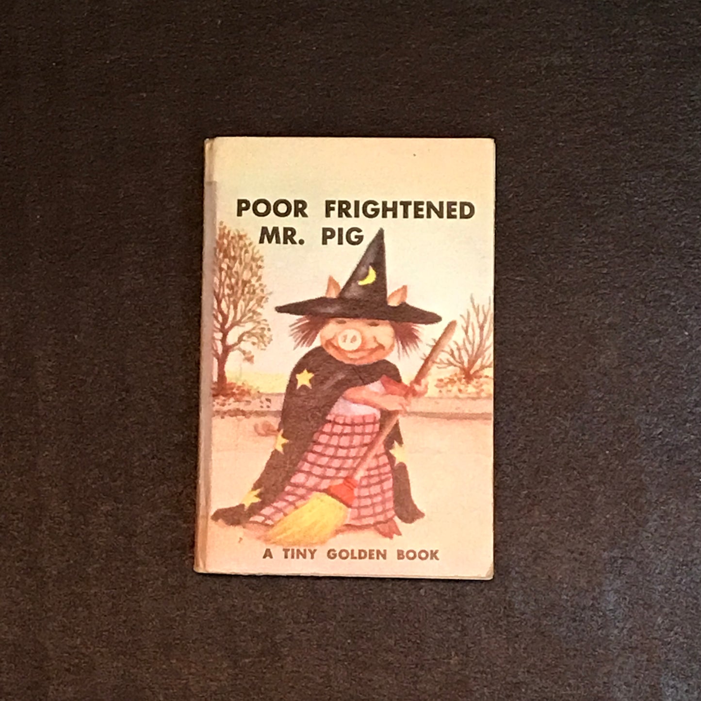 Poor Frightened Mr. Pig - Dorothy Kunhardt - A Tiny Golden Book - 1949