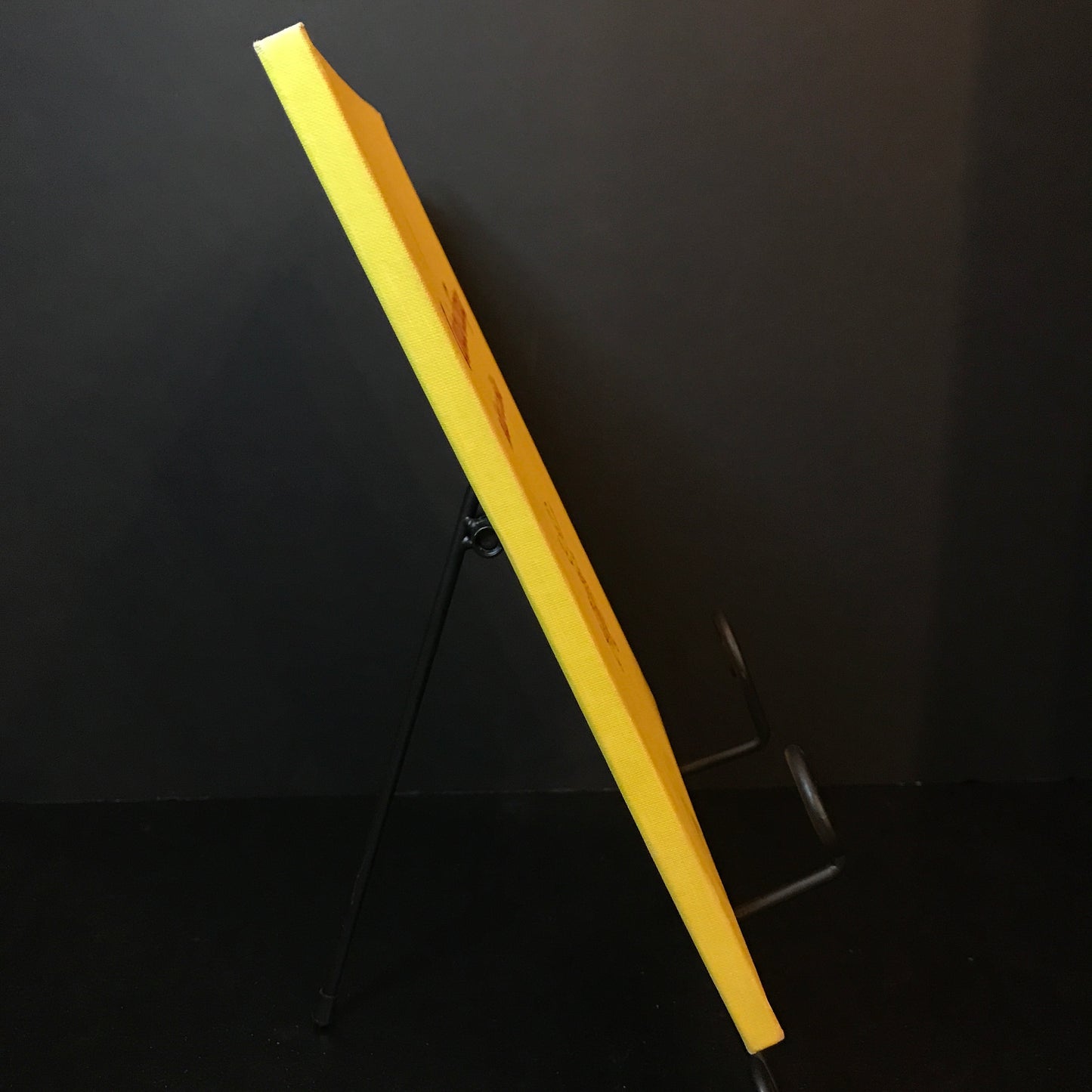 Curious George Rides A Bike - H.A. Rey - 9th Print - Later Reprint - 1966