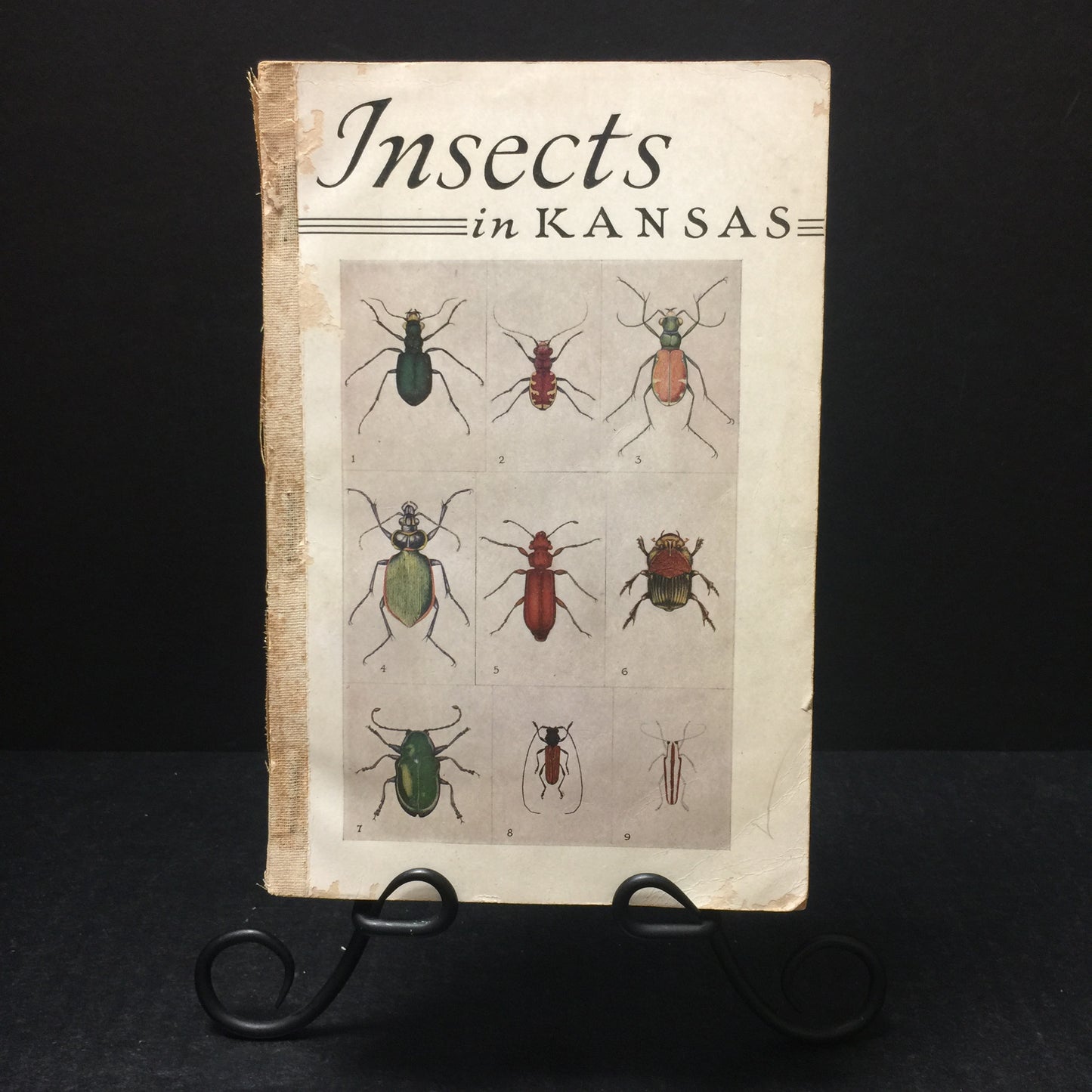 Insects in Kansas - Roger C. Smith - 1943