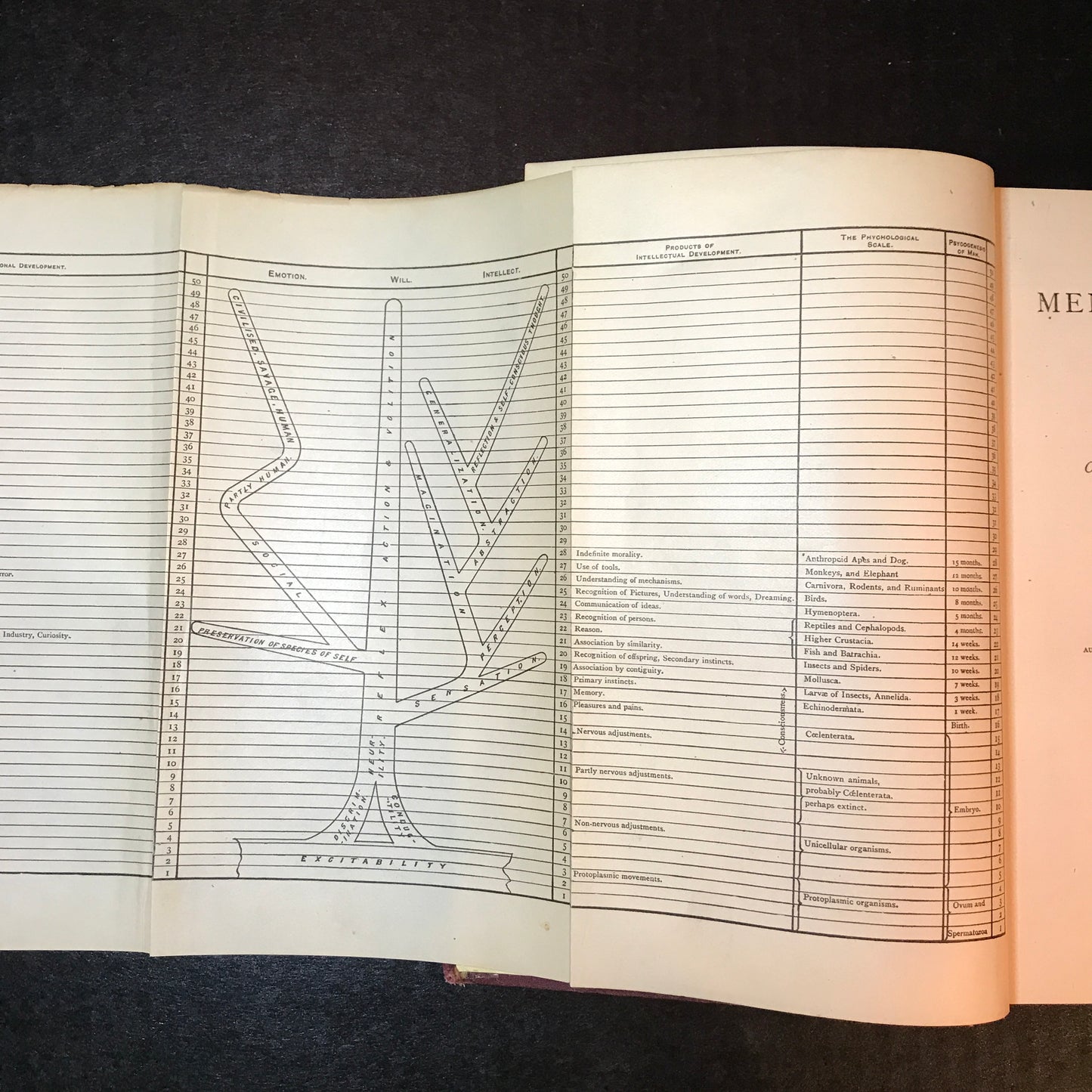 Mental Evolution in Man (Origin of Human Faculty) - George John Romanes - 1st American Edition - 1889