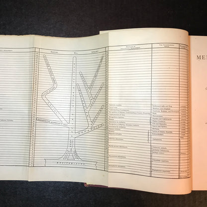 Mental Evolution in Man (Origin of Human Faculty) - George John Romanes - 1st American Edition - 1889