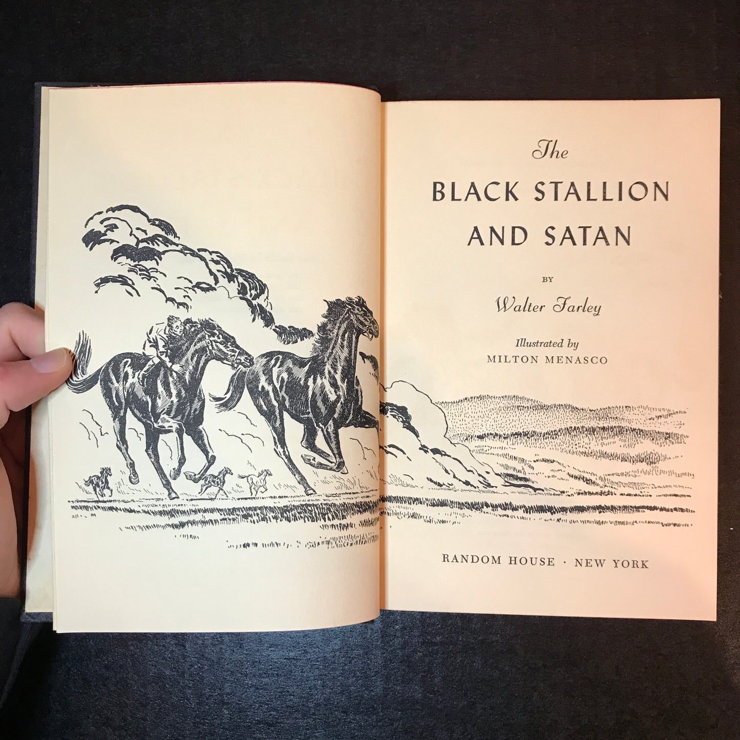 The Black Stallion and Satan - Walter Farley - 1st Print - 1949