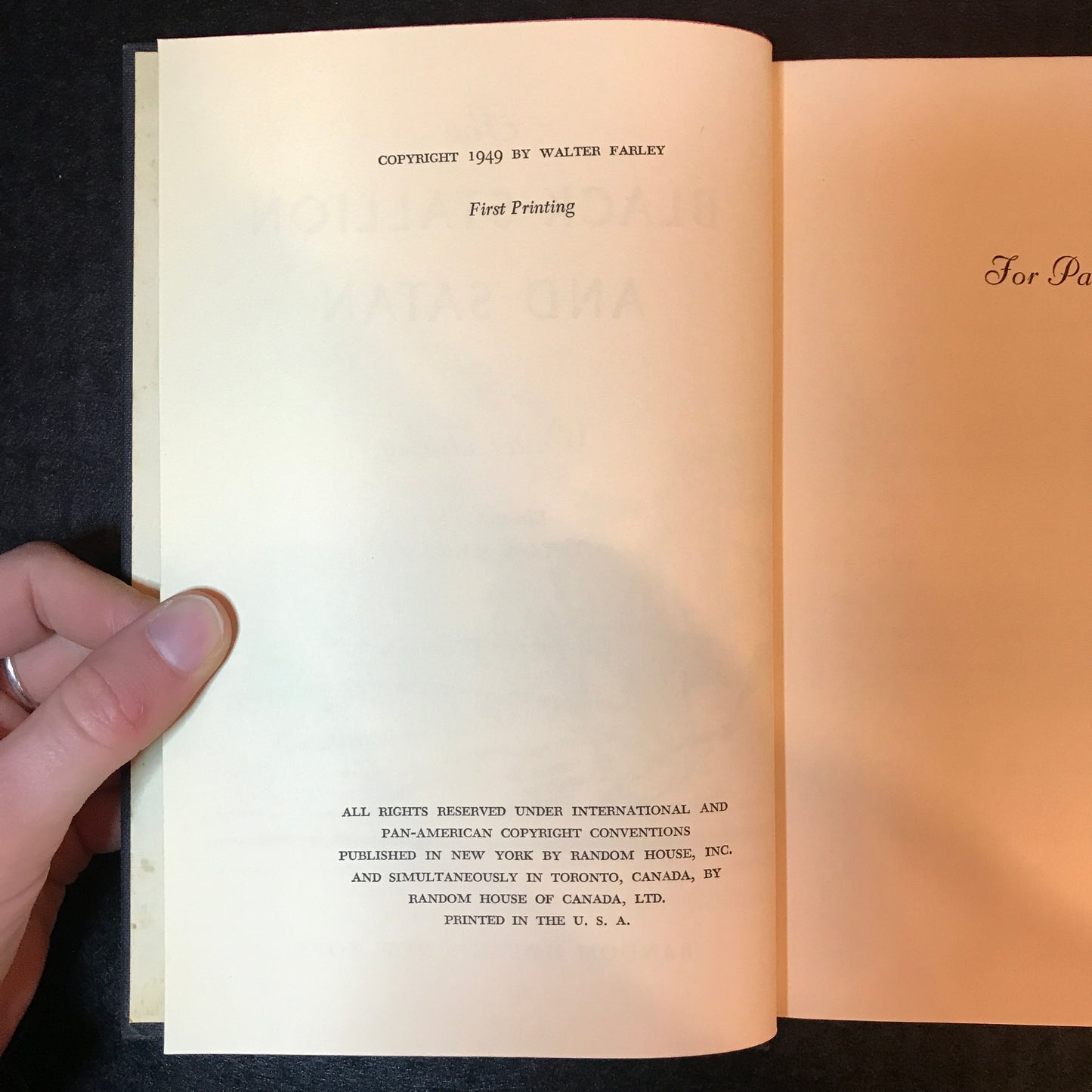 The Black Stallion and Satan - Walter Farley - 1st Print - 1949