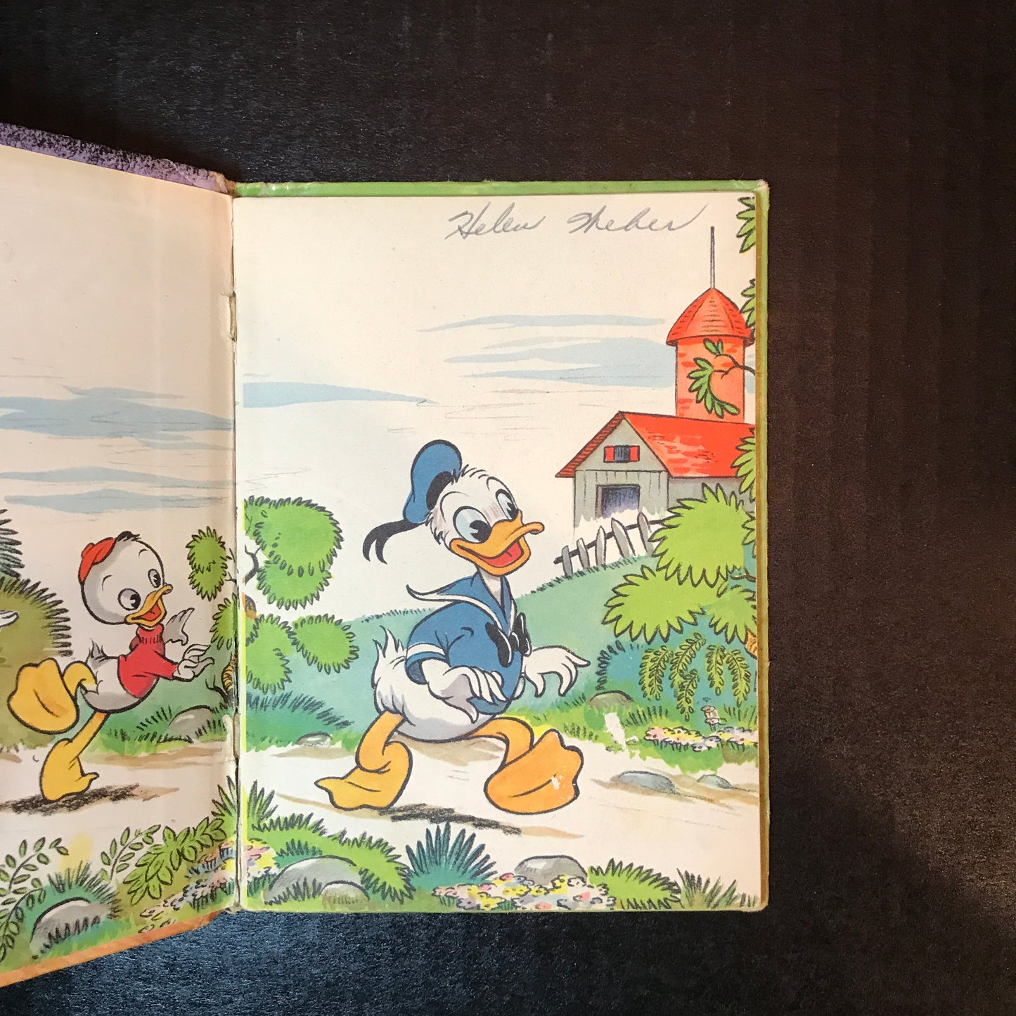 Donald Duck in Bringing up the Boys - Walt Disney - 1948