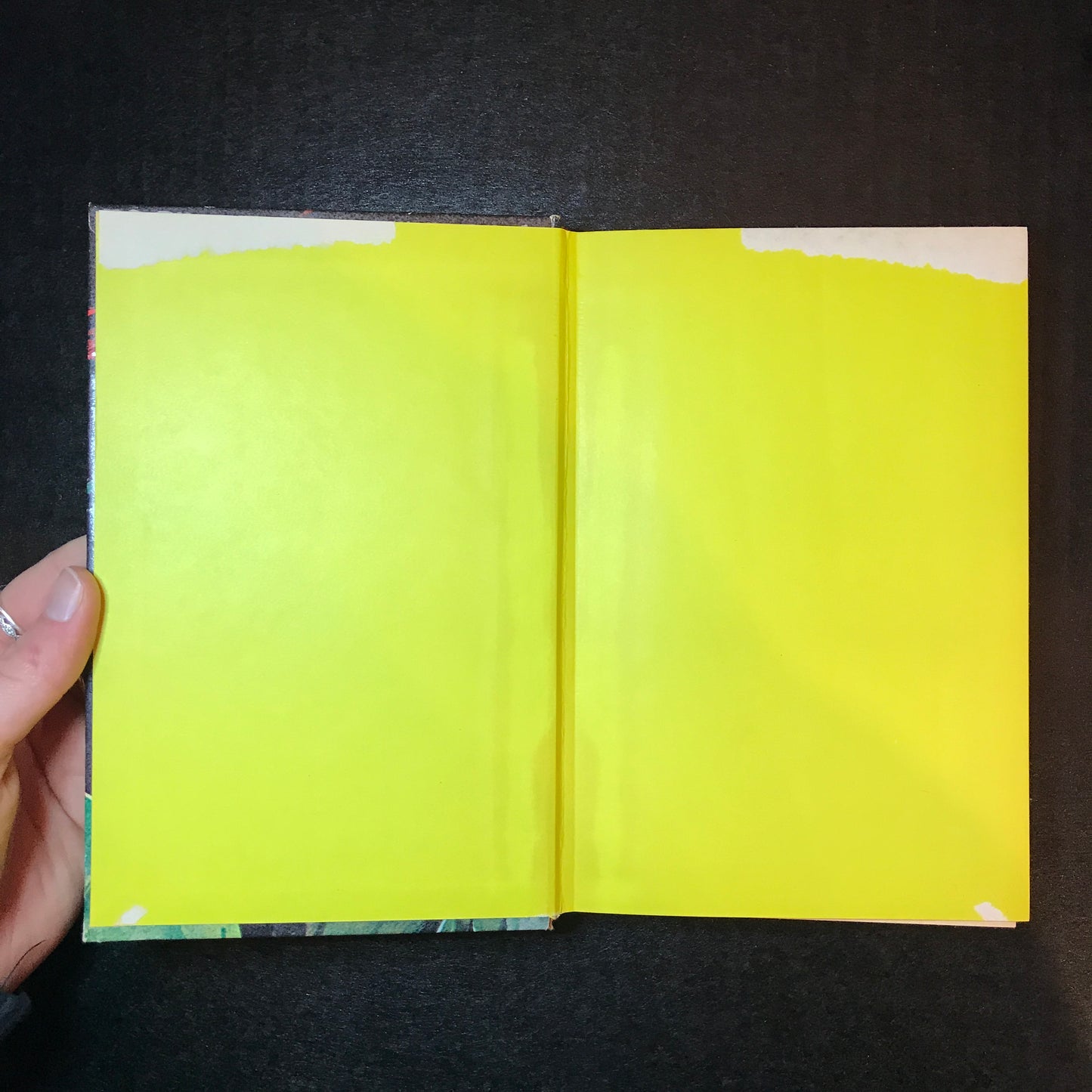 The Case of the Painted Dragon - George Wyatt - 1st Edition - 1961