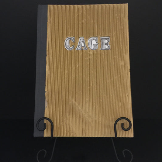 Cage - Betye Saar - 2011