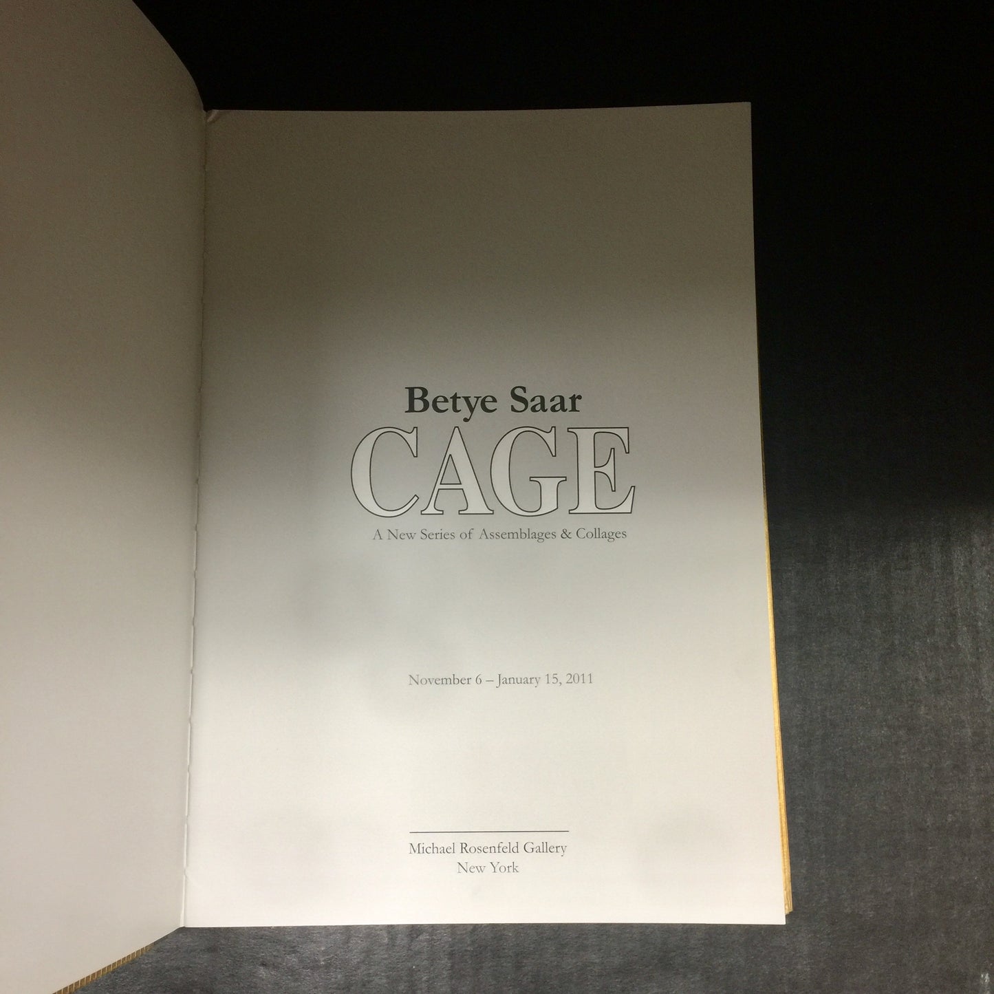 Cage - Betye Saar - 2011