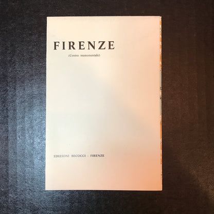 Mexican History: Diego Rivera's Frescoes in the National Palace & Elsewhere in Mexico City - R. S. Silva E. - 1966