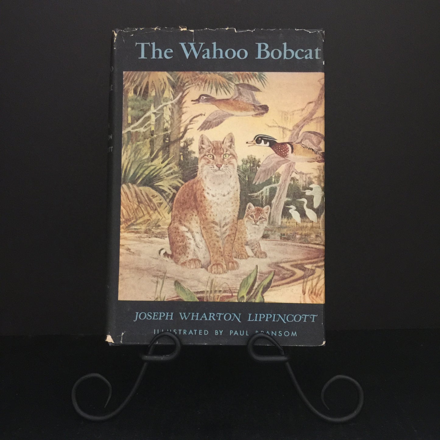 The Wahoo Bobcat - Joseph Wharton Lippincott - First Edition - 1950