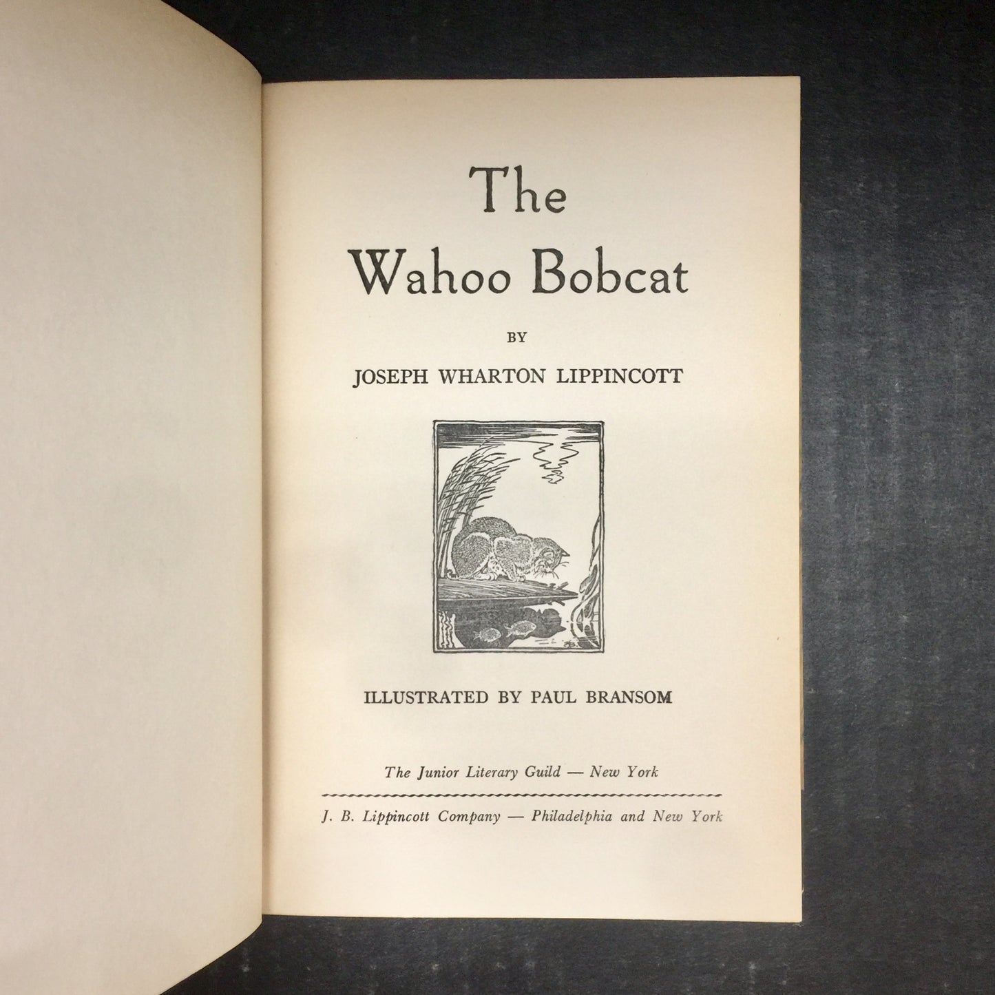 The Wahoo Bobcat - Joseph Wharton Lippincott - First Edition - 1950