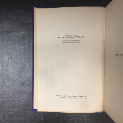 Skylines and Horizons - DuBose Heyward - First Edition - 1924