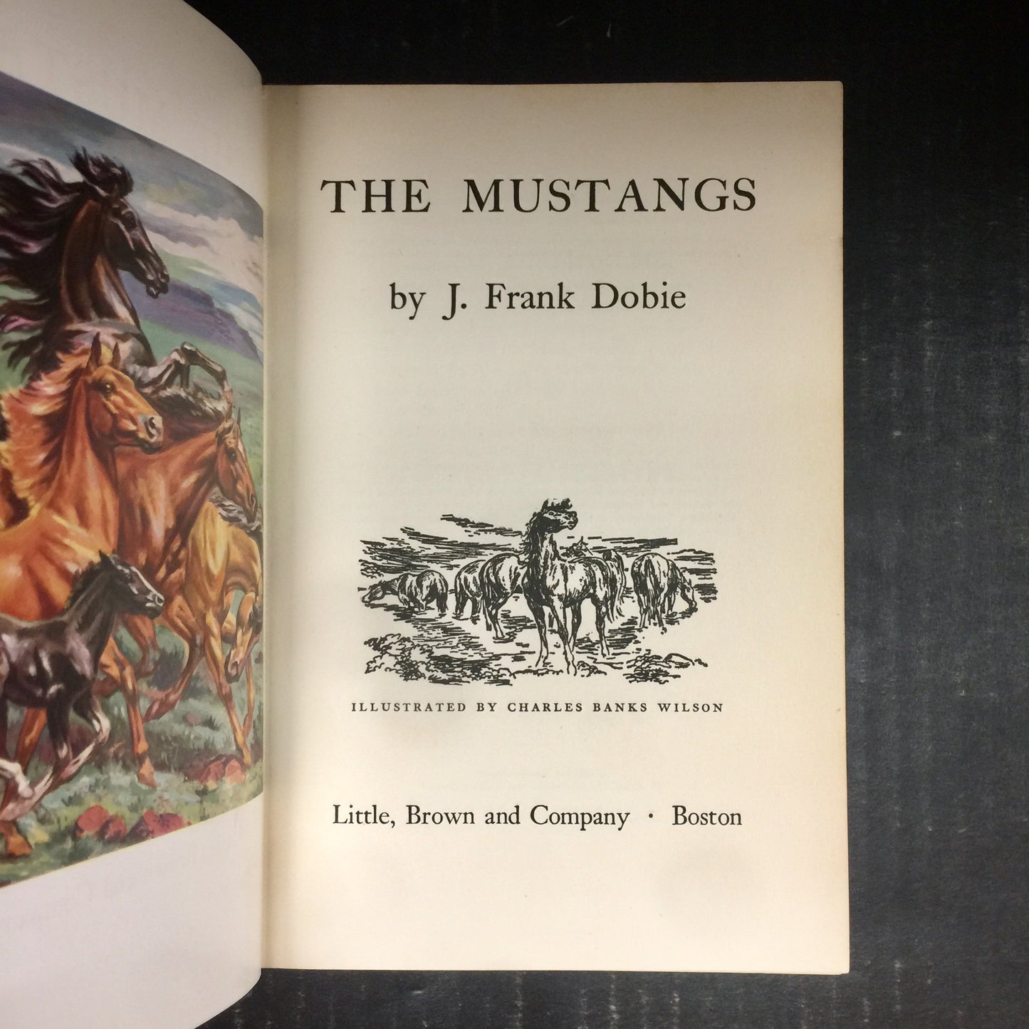The Mustangs - J. Frank Dobie - First Edition - 1952