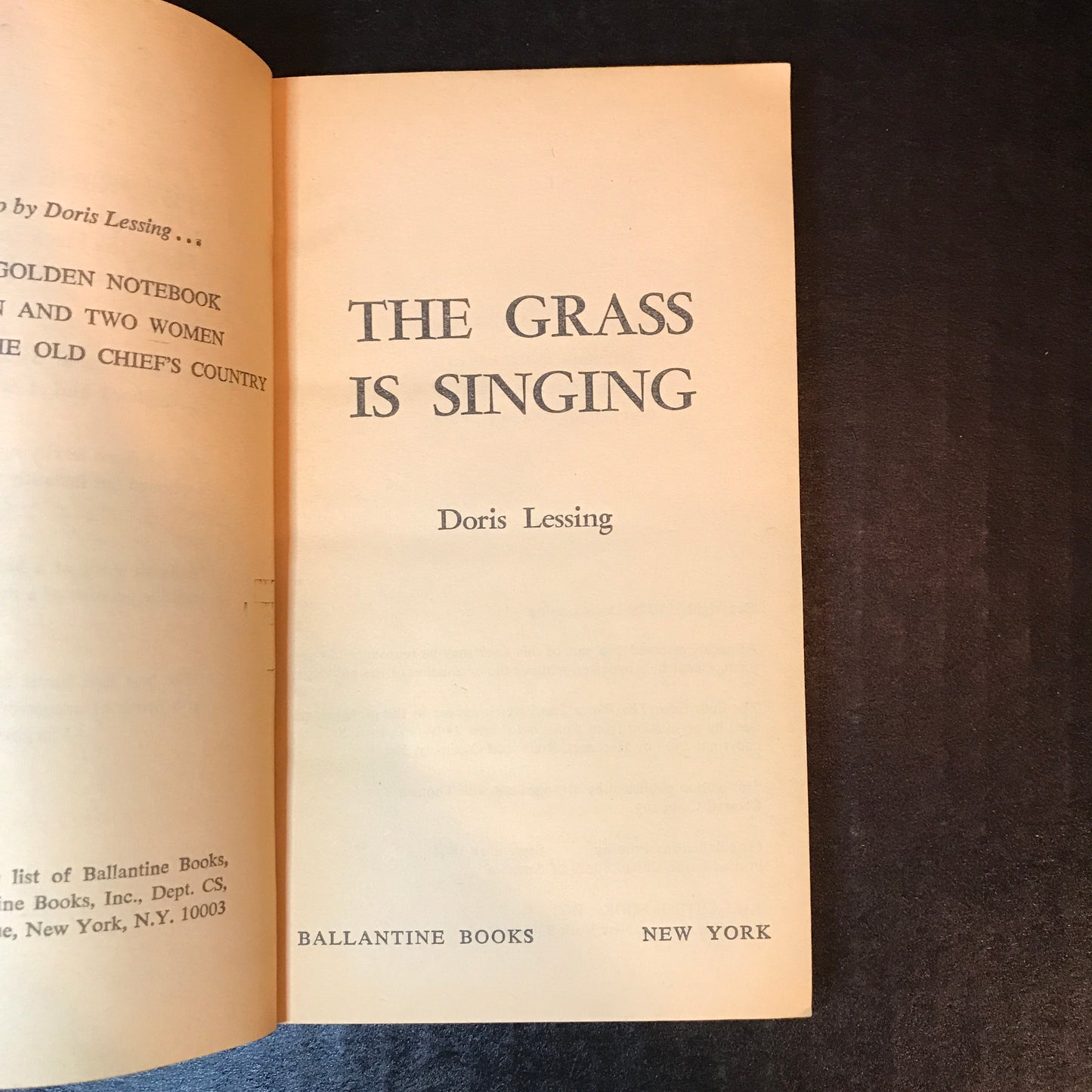 Doris Lessing Box Set - Doris Lessing - 1966