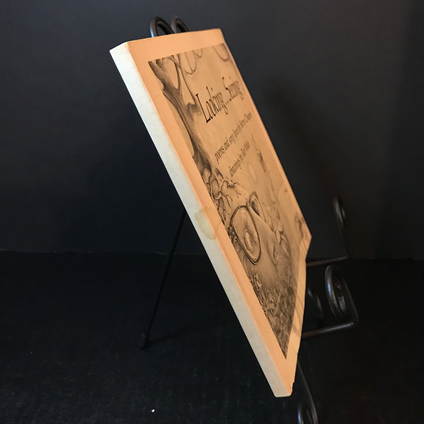 Looking... Seeing - Harry Chapin - 1st Edition - Signed - 1975