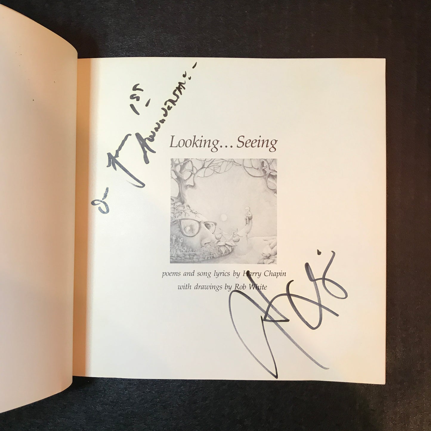 Looking... Seeing - Harry Chapin - 1st Edition - Signed - 1975
