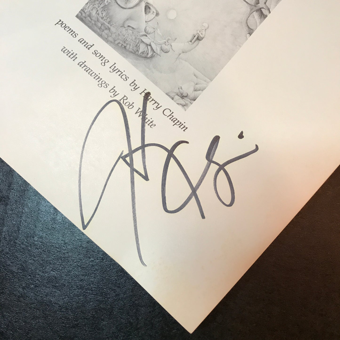 Looking... Seeing - Harry Chapin - 1st Edition - Signed - 1975