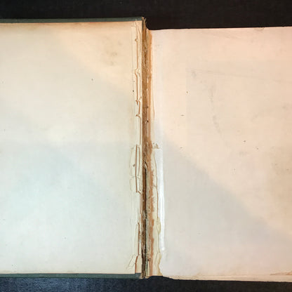 Practical Housekeeping - Buckeye Publishing Company - 1884