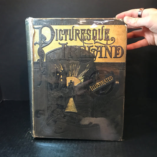 Picturesque Ireland - John Savage - 1884