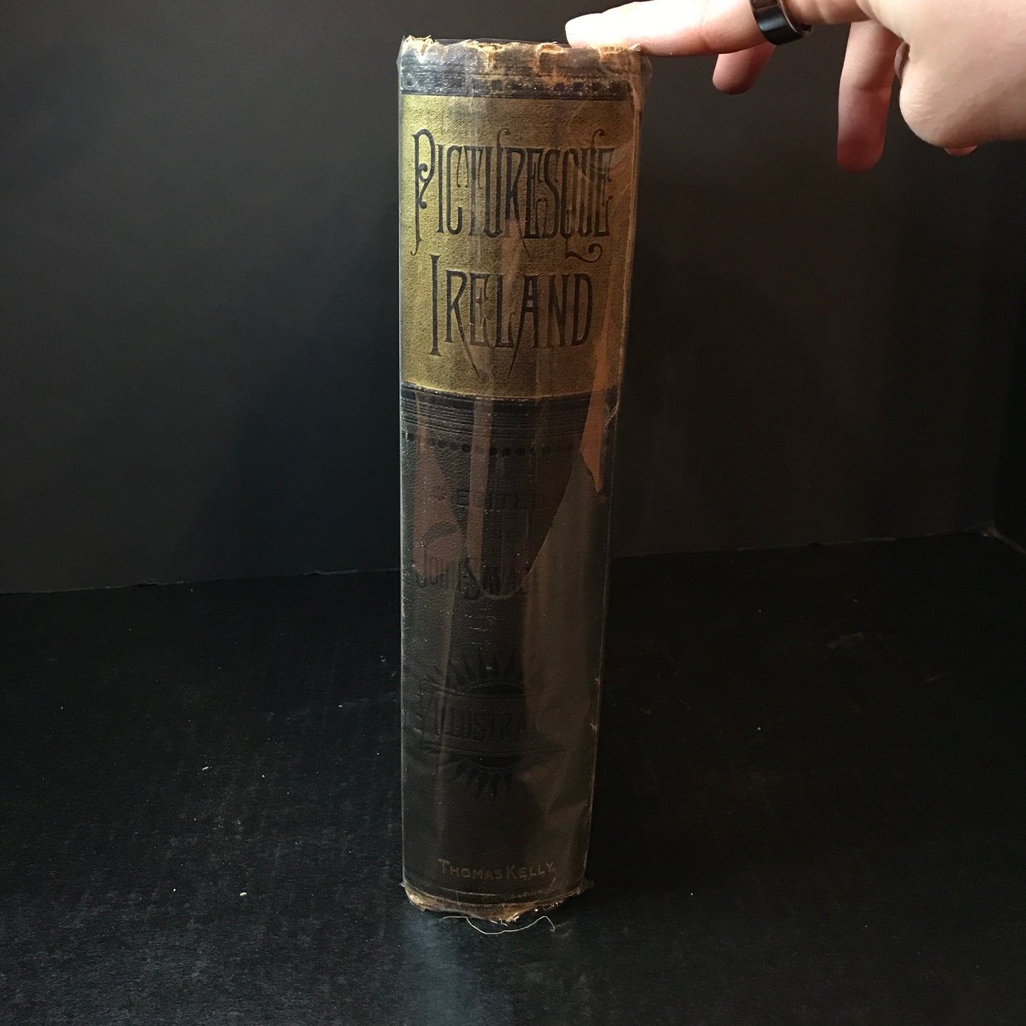Picturesque Ireland - John Savage - 1884
