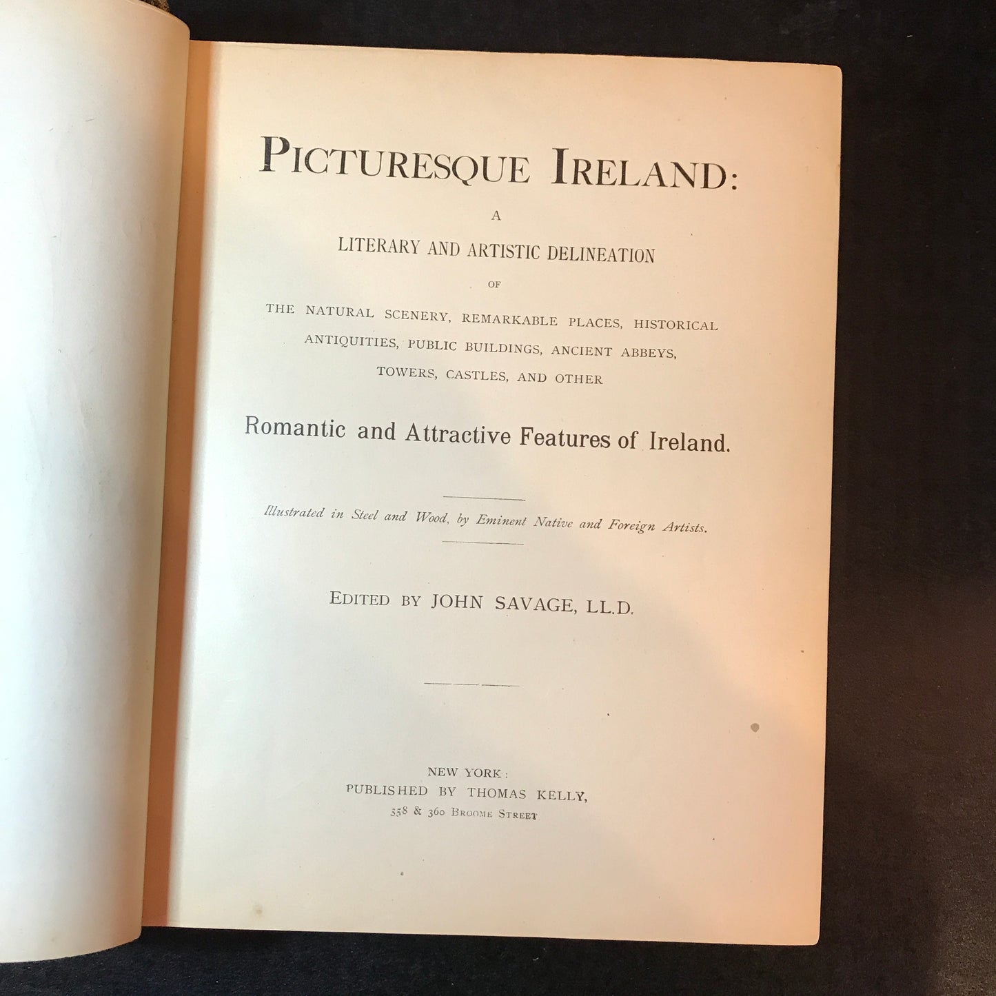 Picturesque Ireland - John Savage - 1884