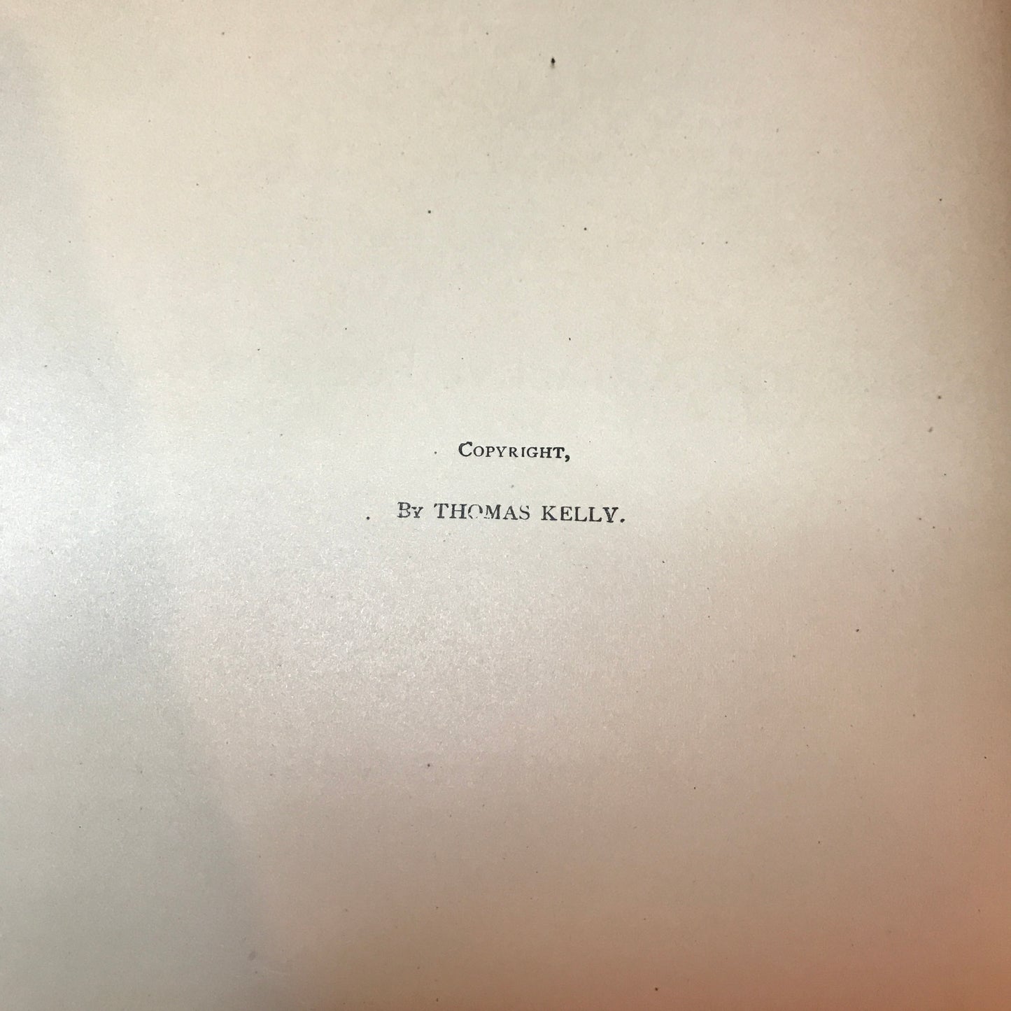 Picturesque Ireland - John Savage - 1884