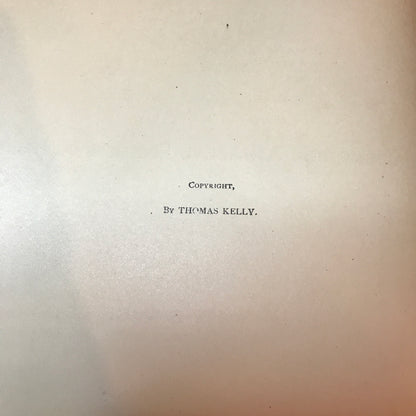 Picturesque Ireland - John Savage - 1884