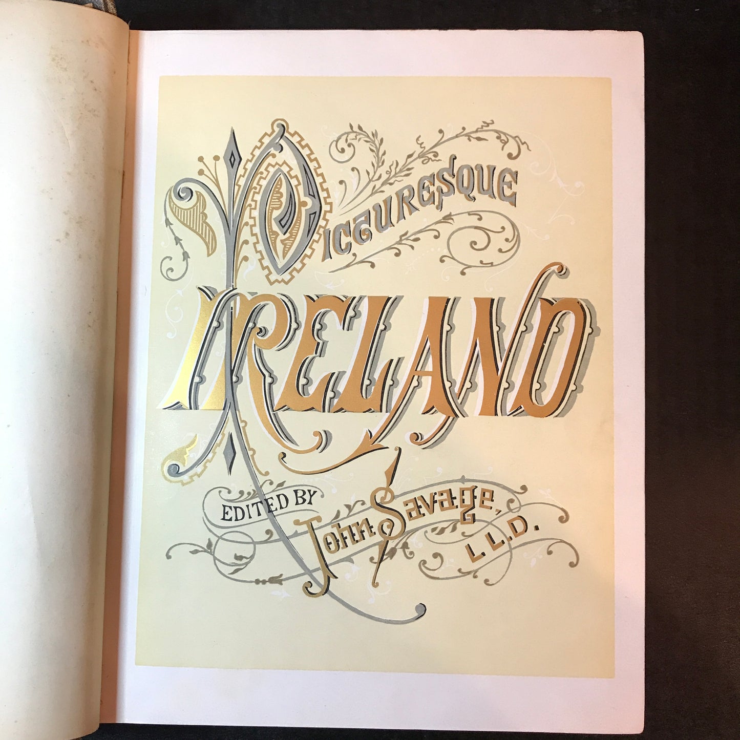 Picturesque Ireland - John Savage - 1884