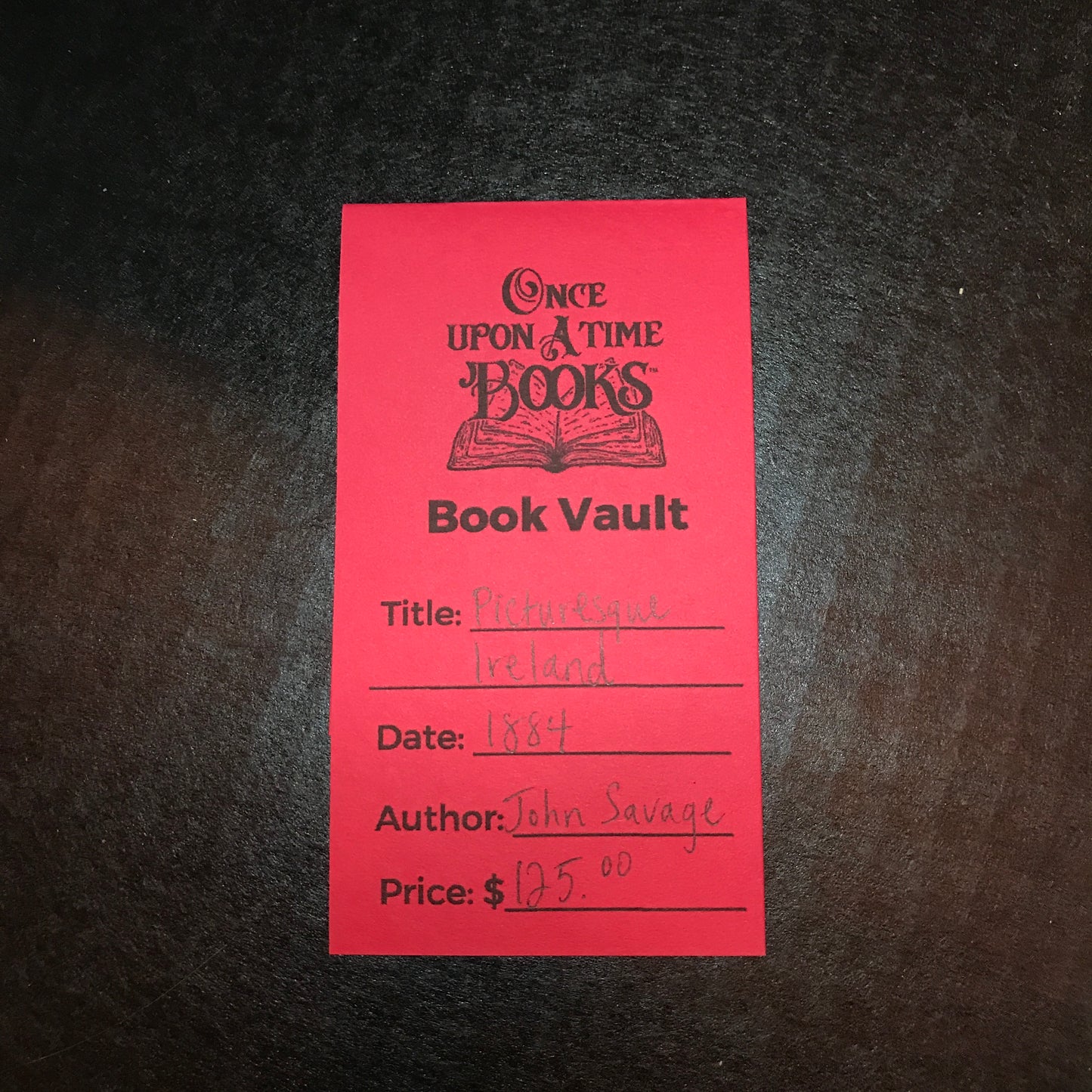 Picturesque Ireland - John Savage - 1884